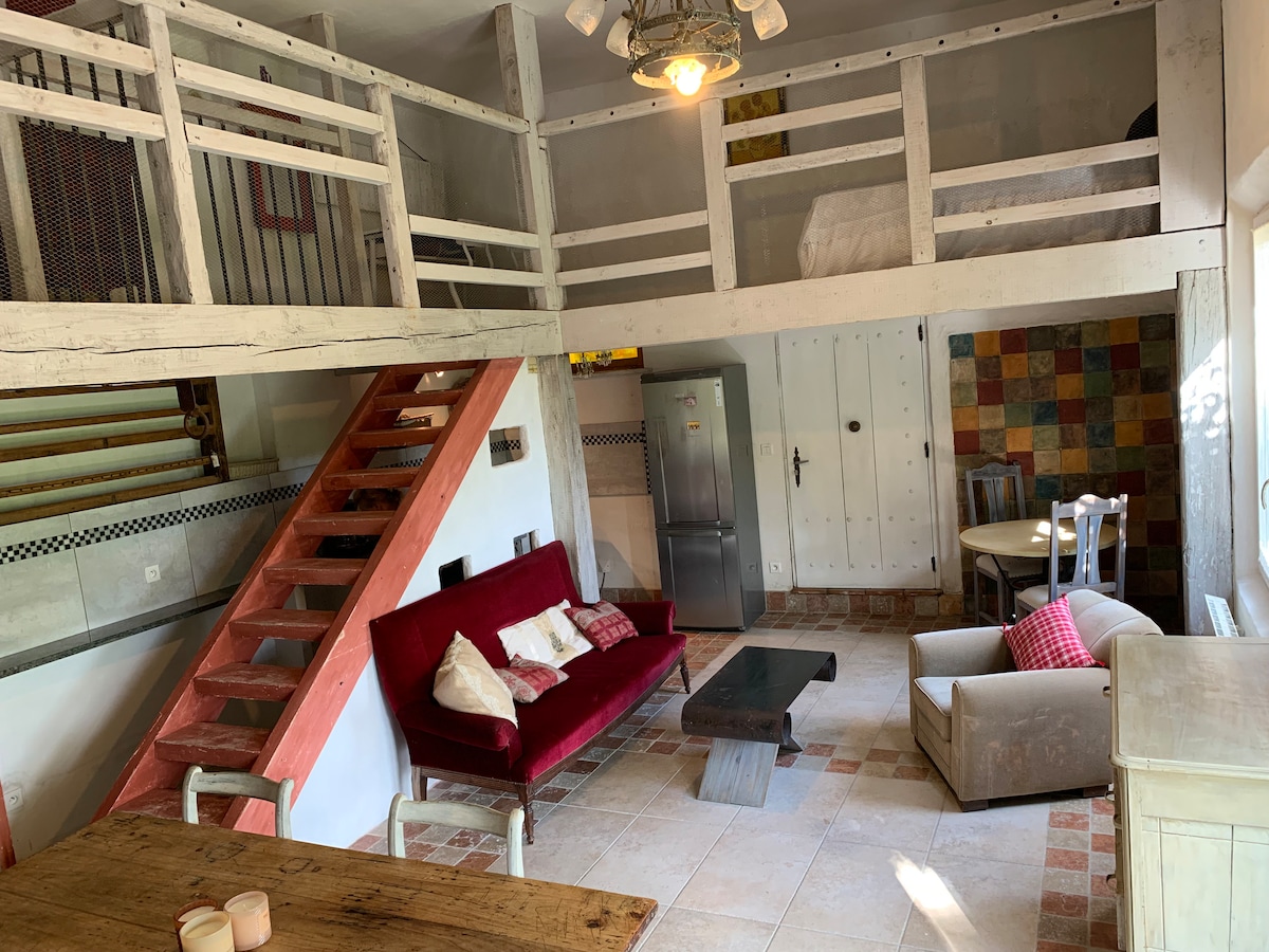 Propriété Airbnb réussie: "Le Tapis Vert": Loft with large garden à Auch