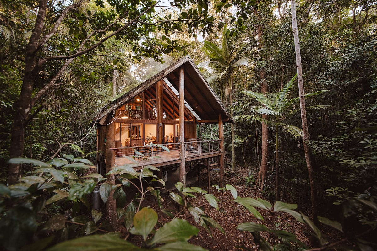 Exterior of The Canopy, Tarzali surrounded by rainforest