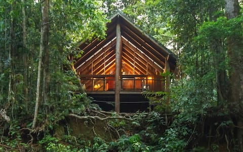 Two bedroom Treehouse in 100 acres of private Rainforest