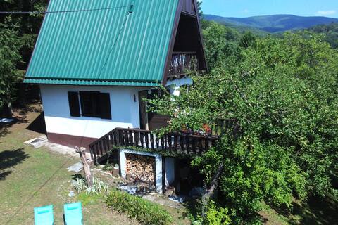 POD ZELENIM KROVOM (forest fairy tale)