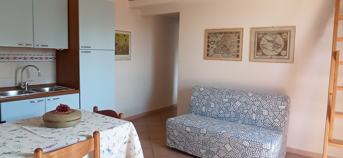 Top performing Airbnb: ️ Awesome sea view house in Siniscola