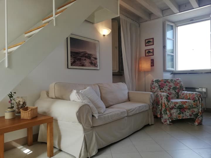 Bilocale Vista Mare Capraia Ovest - Capraia Isola