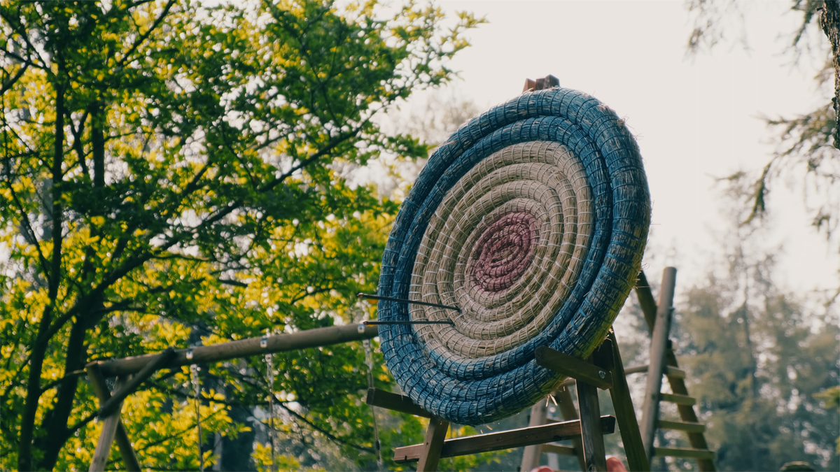 A target for archery is positioned among lush green trees, featuring concentric circles in shades of blue and pink. Several arrows are visible, embedded in the outer rings. The scene captures a peaceful outdoor environment, hinting at recreational activities available nearby.