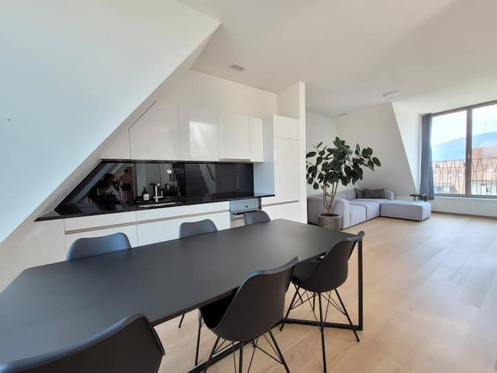 Modern Downtown Apt. w/ rooftop terrace in Zurich Apartments for Rent