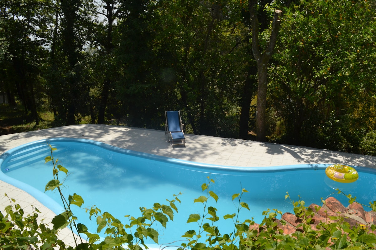 A swimming pool is situated amidst lush greenery, featuring crystal clear water and surrounded by a tiled deck. A single lounge chair is positioned nearby, with a yellow inflatable ring resting on the water's edge, enhancing the inviting space for relaxation.