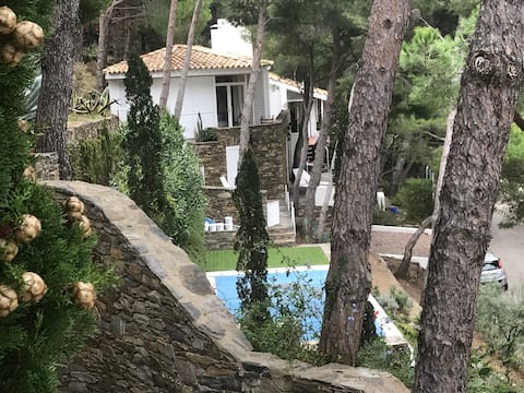 Charming beachfront villa with private pool