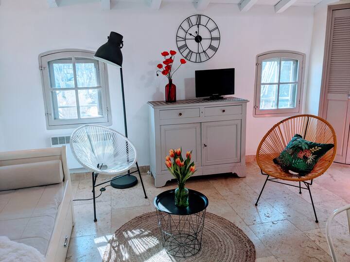Gîte Pichoulino, Le Mas Saint Roman - Maussane-les-Alpilles