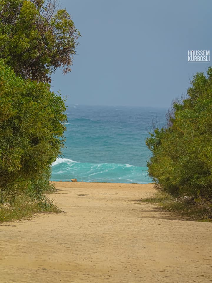 A sandy pathway, flanked by lush green vegetation, leads to the coastal area where the sea meets the horizon. Waves can be seen gently crashing against the shore, creating a serene coastal landscape. The sky above is partly cloudy, adding depth to the scene.
