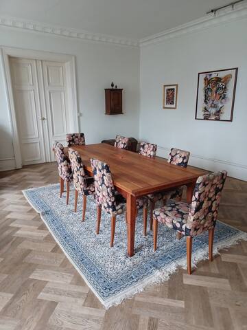 Spacious luxury apartment in inner city