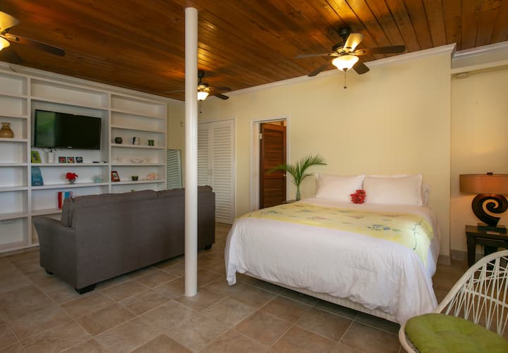 Lower studio apartment with Queen-sized bed, AC, TV, and attached full bathroom