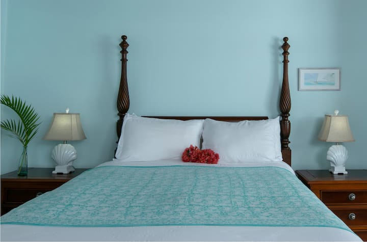 Master bedroom with Queen-sized bed, A/C, and attached full bathroom