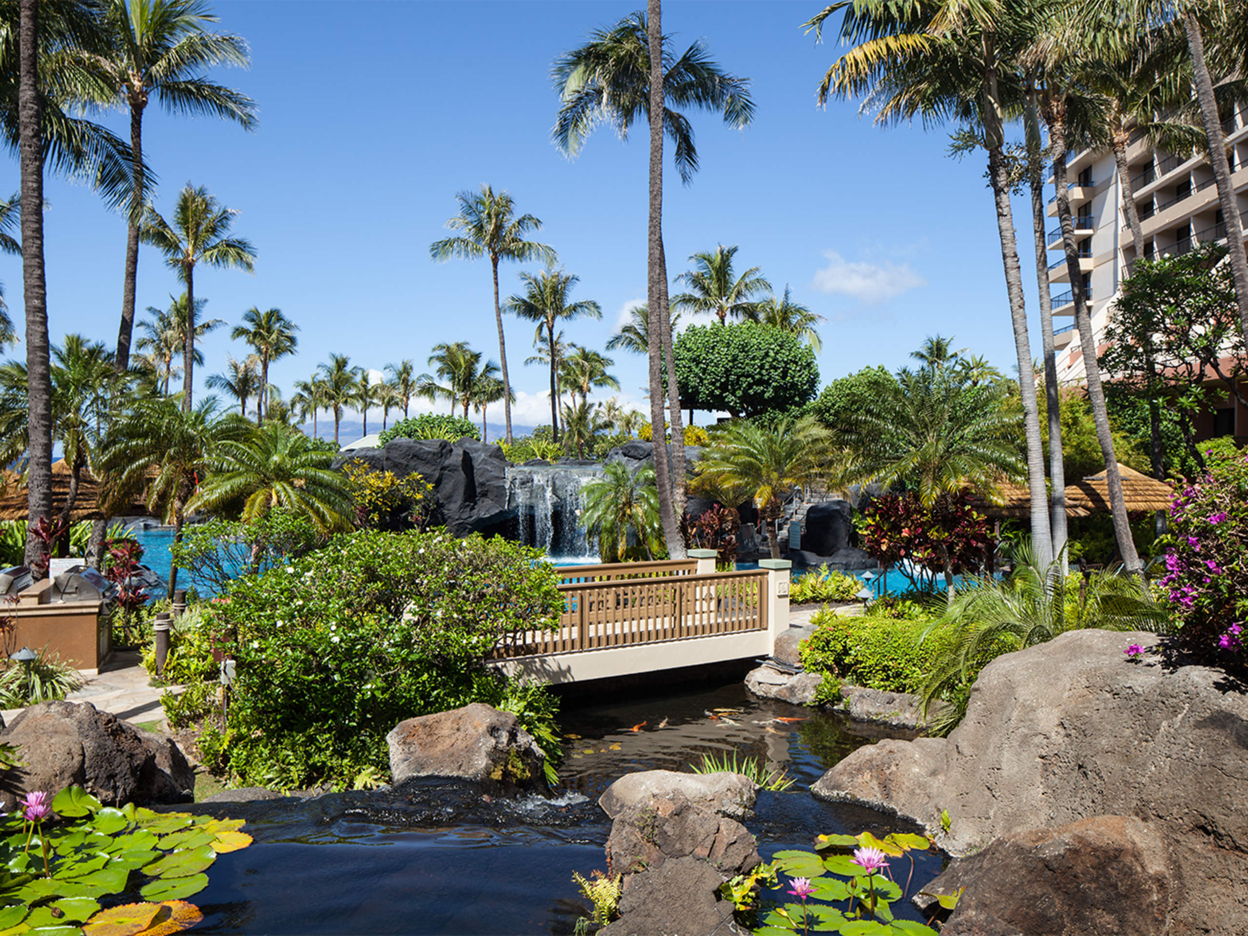 Condo in Lahaina · ★5.0 · Studio · 2 beds · 1 bath - Image 7