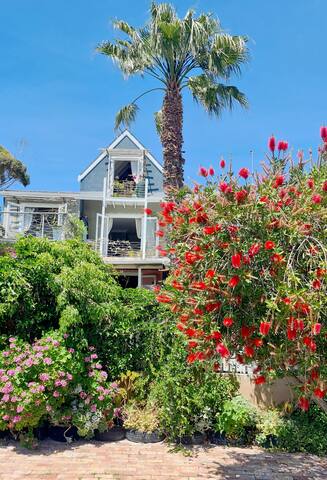 Flamingo House full home rental gallery image 2