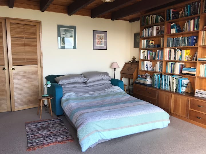 โซฟาห้องสมุดแปลงเป็นเตียงคู่ที่สะดวกสบาย