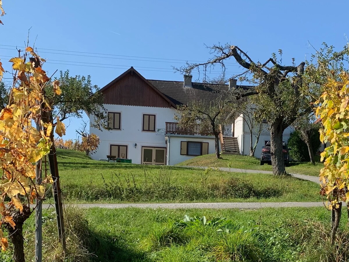 A charming building is surrounded by green fields and rows of grapevines. The two-story structure features a wooden upper section with a balcony, and large windows are visible on the ground floor. Clear skies and sunlight enhance the natural setting.