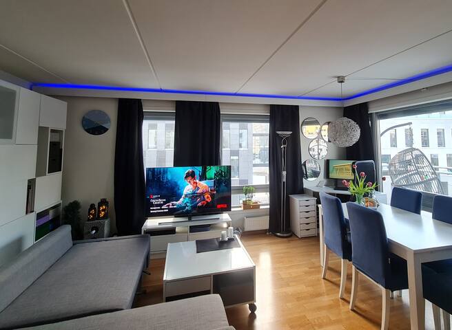Apartment by Oslo Central Station, private home