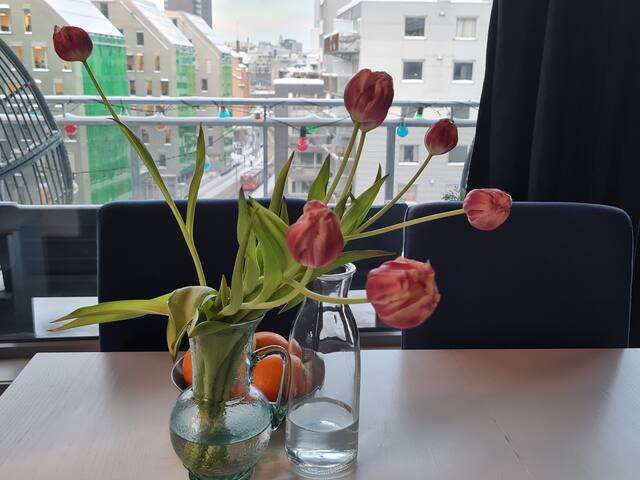 Apartment by Oslo Central Station, private home gallery image 5