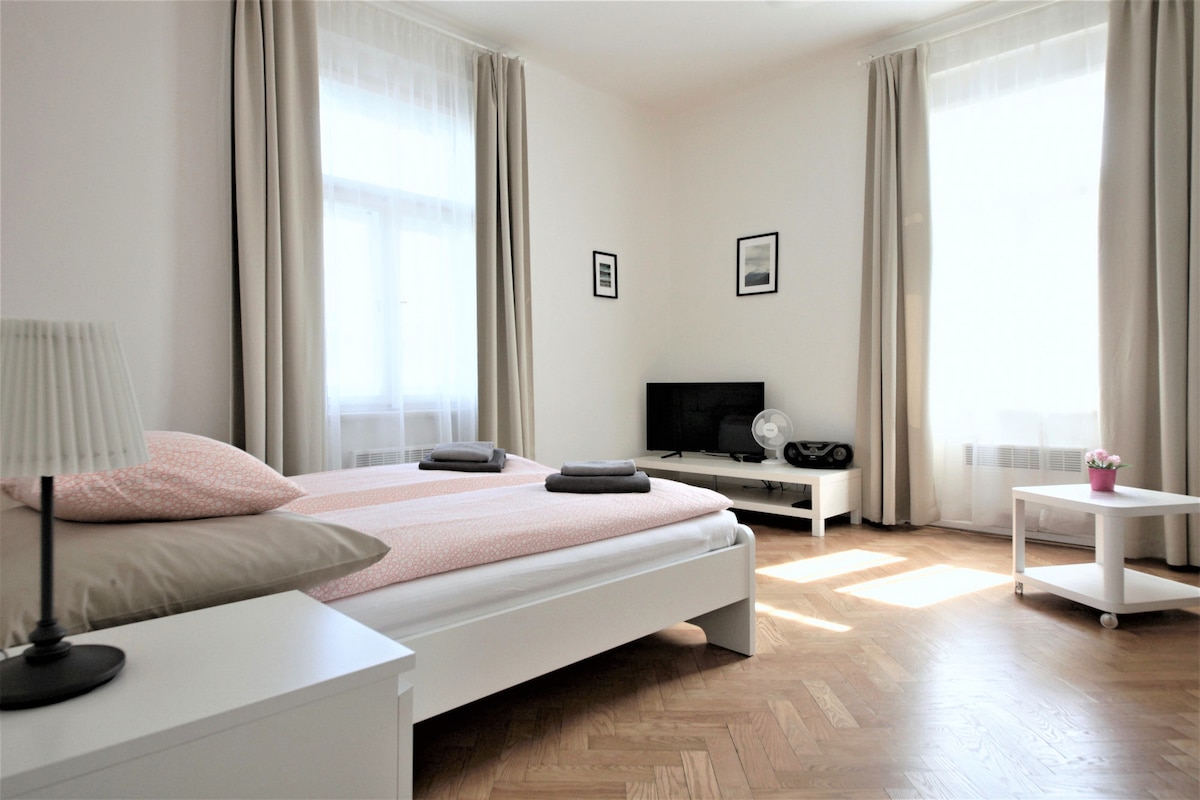 A well-lit sleeping area features a spacious bed dressed with soft linens and towels. Two large windows allow natural light to fill the room. A simple television unit is positioned nearby, with a fan on a side table and a potted plant adding a touch of greenery.