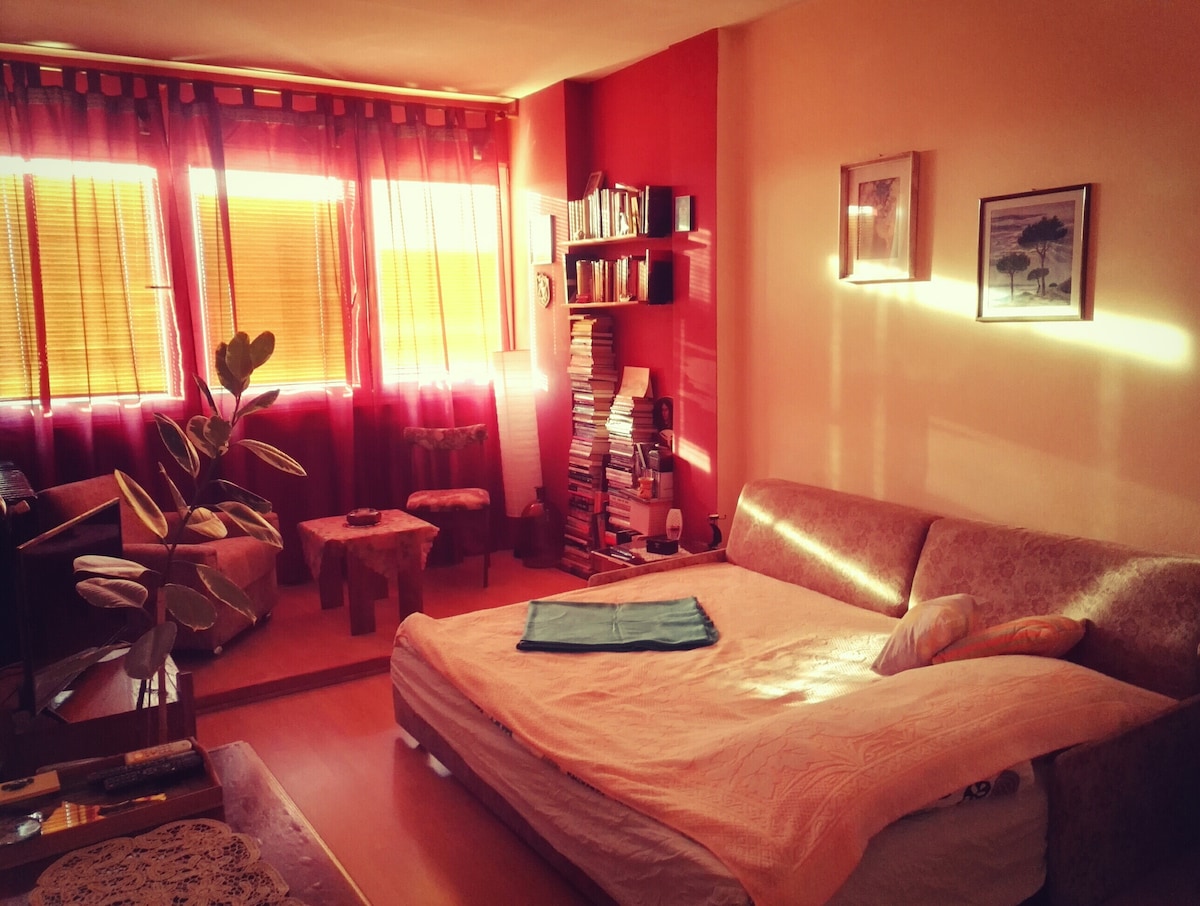 A bright and inviting room features a spacious bed at its center, complemented by sunny, sheer curtains. A bookshelf filled with various titles stands against one wall, while a small plant adds a touch of greenery. Soft light illuminates the warm-toned walls.