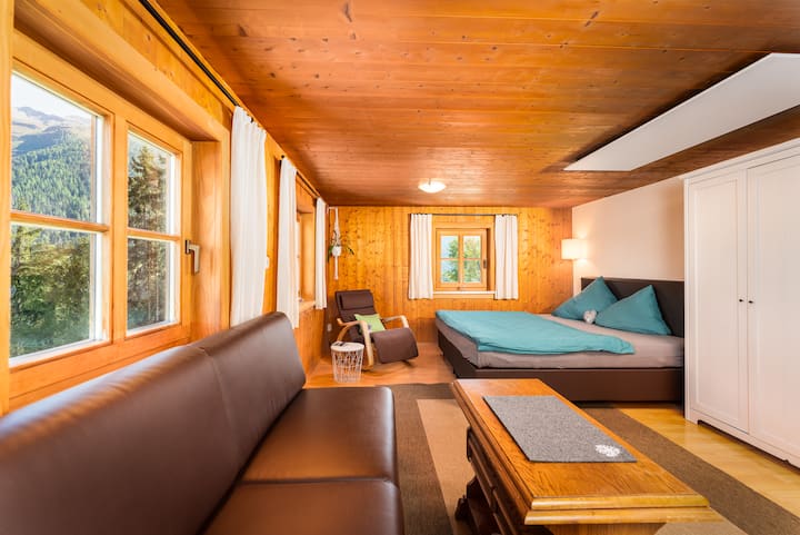 Dvojlôžková izba Panorama I až pre 4 osoby so skvelým výhľadom (domáce zvieratá nie sú povolené, ale v ostatných 2 izbách), posteľ/gauč 2x1.80 m, šatník, relaxačné kreslo, stôl, dekoratívne, polička, lampa na čítanie/n, infračervené kúrenie, uteráky, posteľná bielizeň