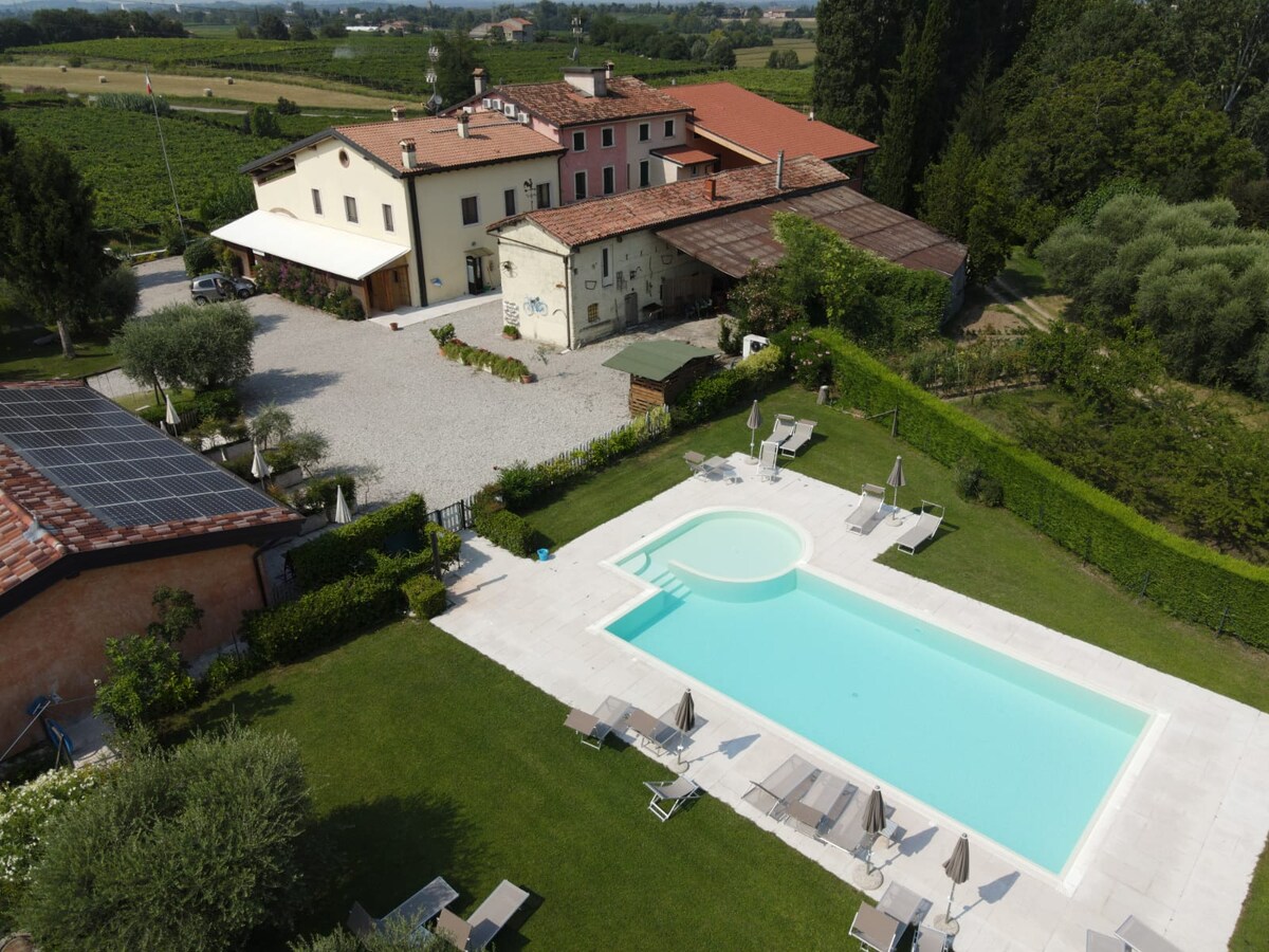 An aerial view captures the peaceful farmhouse surrounded by greenery and vineyards. A private swimming pool is visible, complete with lounge chairs and umbrellas. The property features a mix of architectural styles, emphasizing the tranquil outdoor spaces alongside the spacious main building.