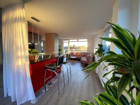 Penthouse with cathedral view - Above the rooftops of Speyer