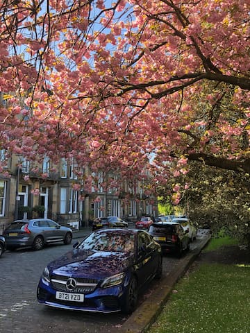 Penthouse apartment in the heart of the city