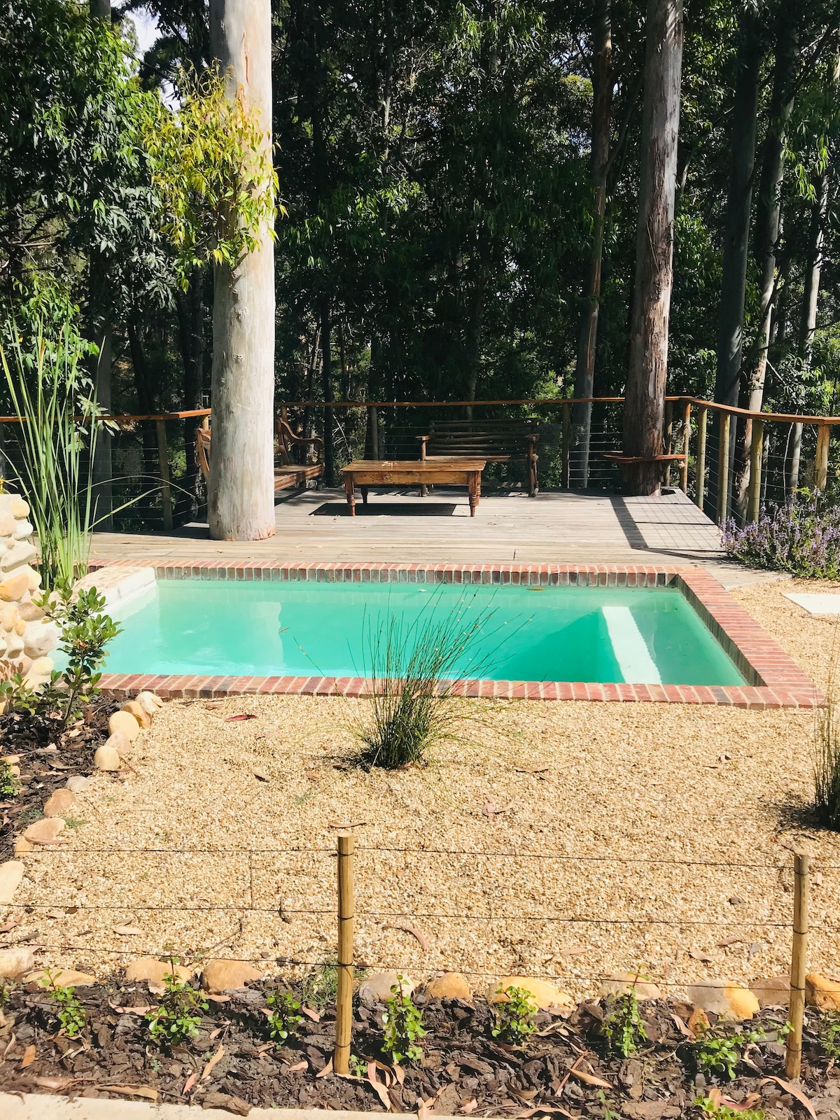 A small swimming pool is set against a backdrop of tall trees and greenery, surrounded by a pebbled area with low-growing plants. A wooden deck features sun loungers, providing a serene outdoor space within the forest-like setting.