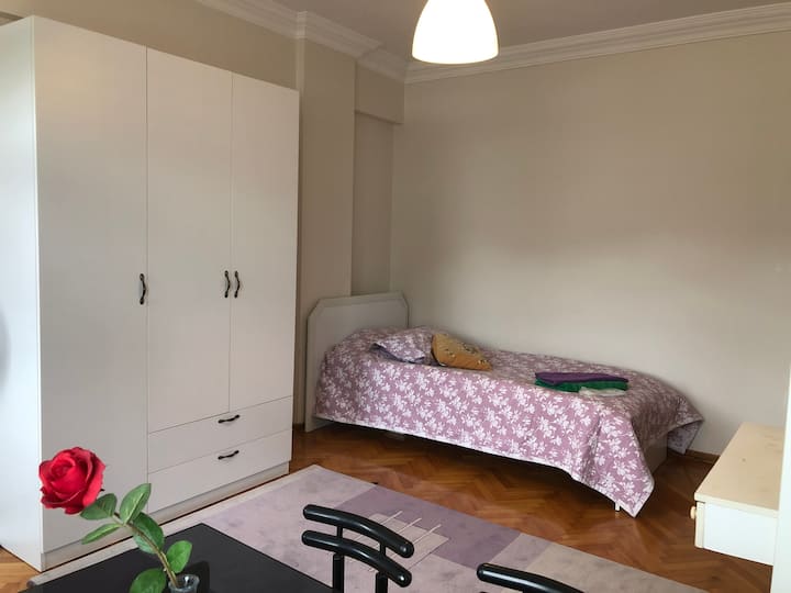 Comfy Room w/Balcony in Şişli/Int.FlatFemale Only Apartments for Rent in Şişli, İstanbul