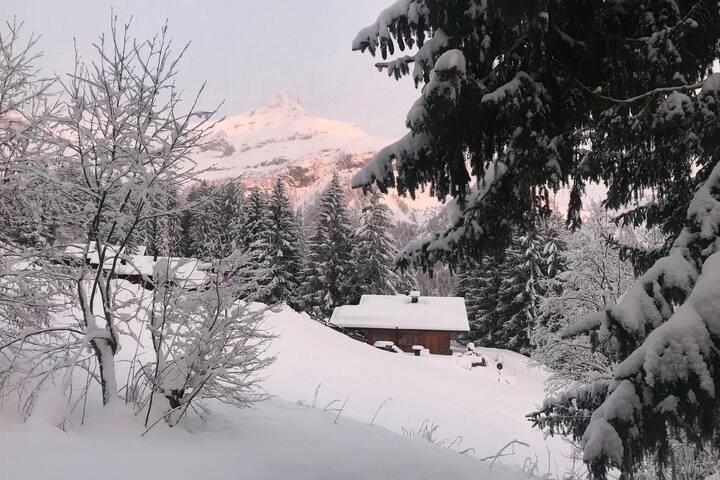 Les Diablerets – Chalet en lisière de forêt gallery image 2