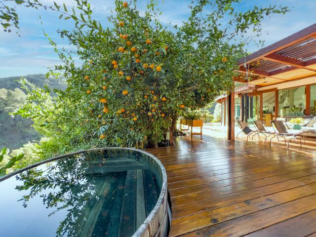 MidCentury treetop house, view, privacy. 30+days gallery image 5