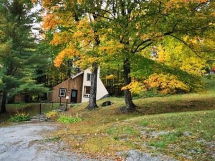 Top 13 Airbnb Vacation Rentals In Orford, Canada Updated 2024 Trip101