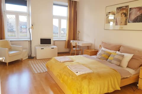 Schubert Park Apartment near Volksopera Vienna