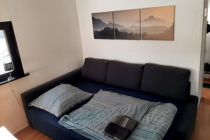 5. Dormitorio = sofá cama IKEA (nuevo 2022) - ancho = 1,40m x 2 m