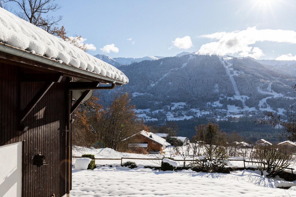 A snowy landscape is presented, highlighting a view of the mountains in the distance. The chalet's sloped roof is dusted with snow, while the foreground features a garden area lined with shrubs and a fence. Clear blue skies complement the winter scene.