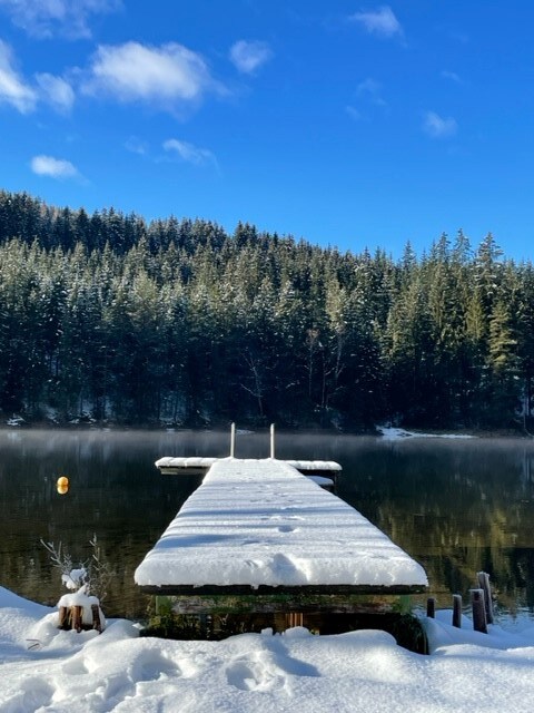 A snow-covered wooden dock extends into a serene lake, framed by lush evergreen trees. A clear blue sky with scattered clouds provides a bright backdrop, while a buoy floats gently in the water, creating a peaceful winter scene.