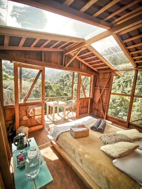Cabaña de madera vista Bosque