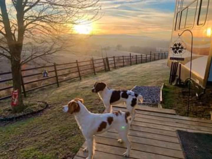 Top 24 Airbnb Vacation Rentals In & Around Greeneville, Trip101