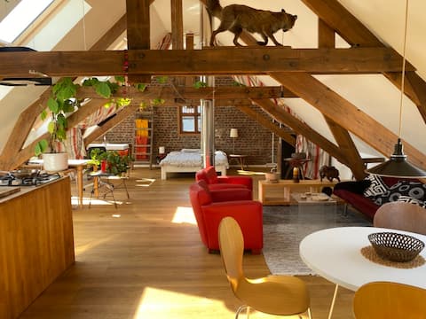 Popular Airbnb listing: Loft attic with roof terrace and small pool in Gent