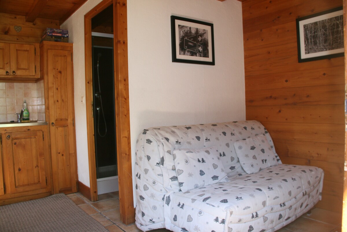 ספה נפתחת בסלון עם טלוויזיה/DVD ומבחר סרטים, ספרים ומשחקים.