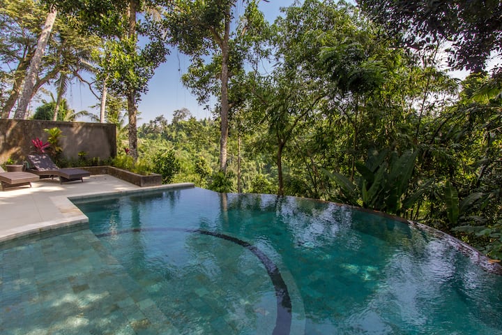Jungle King Cliff Side Villa - Ubud
