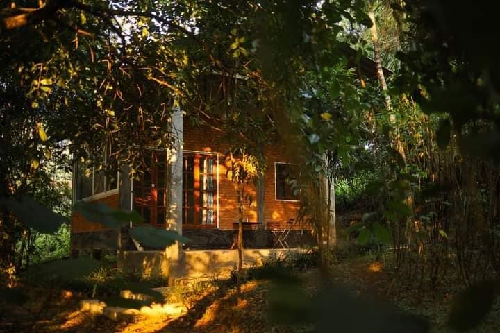 A cozy single-story home is surrounded by lush greenery, with sunlight filtering through the leaves. Large windows allow natural light to brighten the brick exterior, while a small outdoor seating area can be seen among the trees.