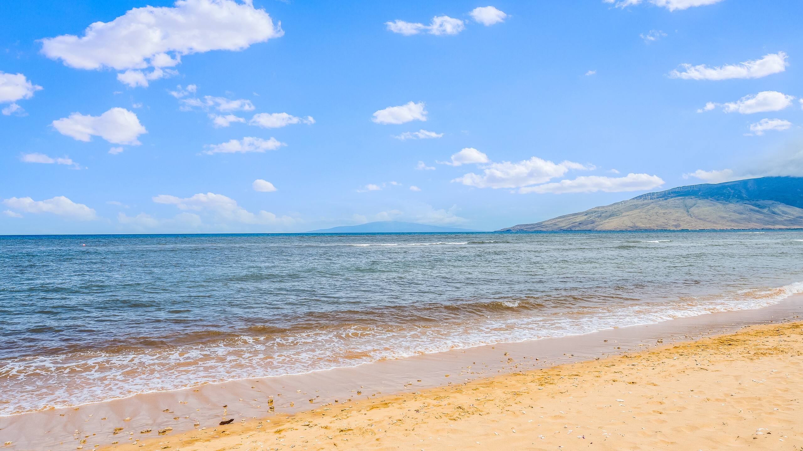 Condo in Kihei · ★4.78 · 2 bedrooms · 3 beds · 1 bath - Image 58