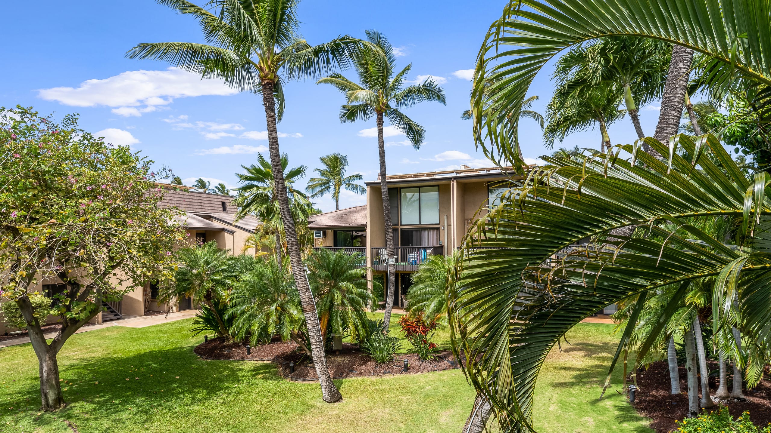 Condo in Kihei · ★4.78 · 2 bedrooms · 3 beds · 1 bath - Image 52