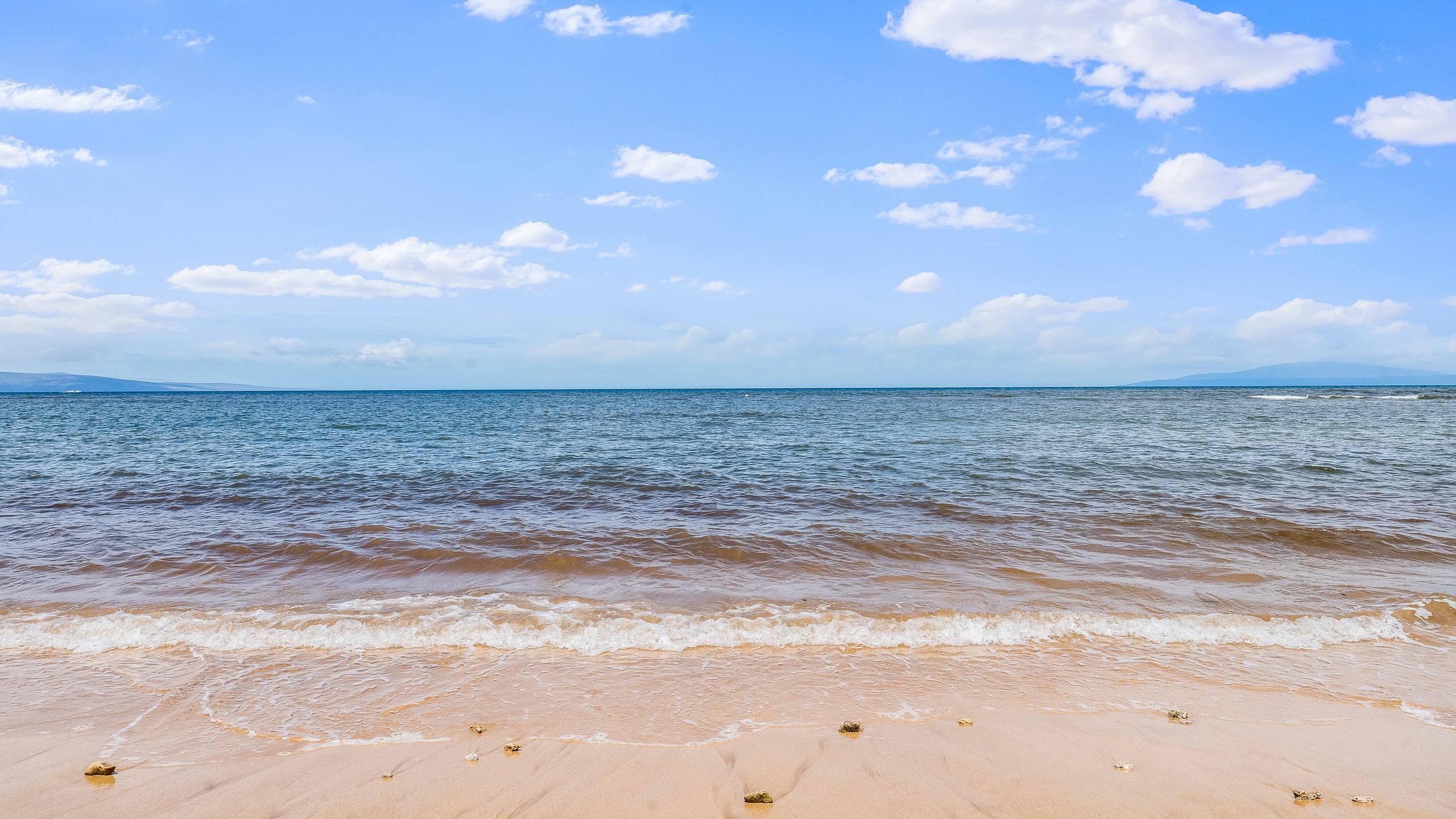 Condo in Kihei · ★4.78 · 2 bedrooms · 3 beds · 1 bath - Image 59