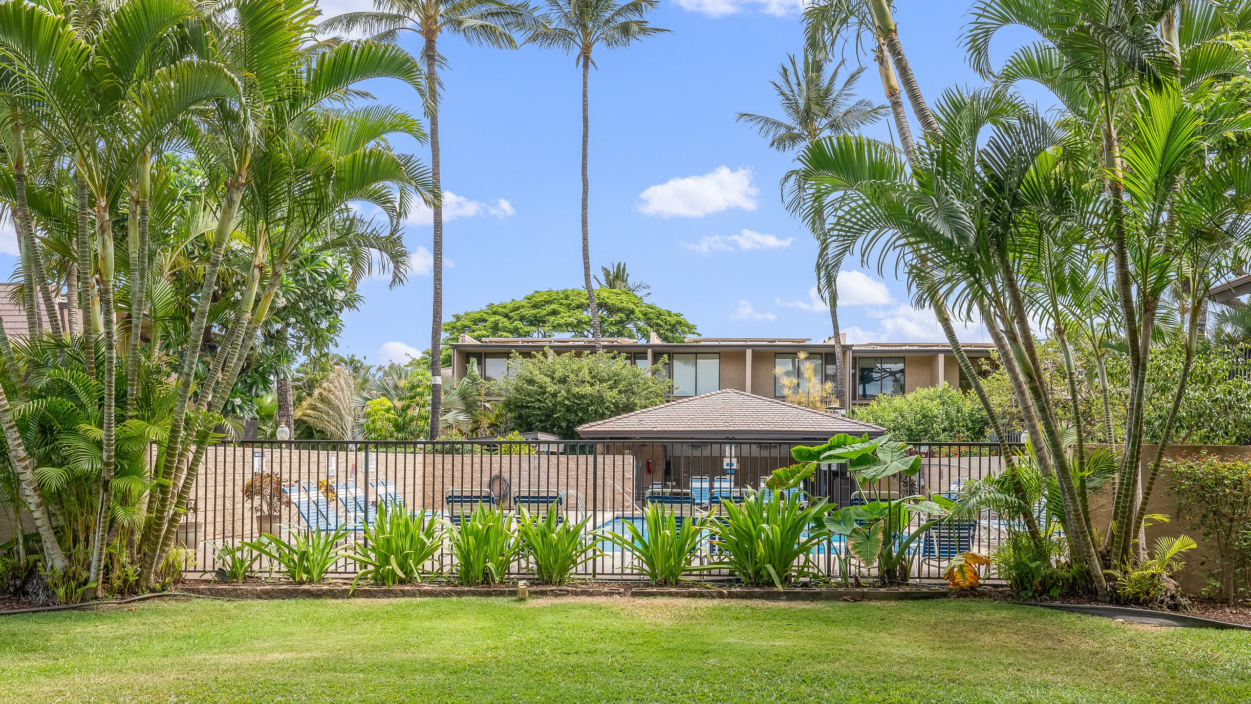 Condo in Kihei · ★4.78 · 2 bedrooms · 3 beds · 1 bath - Image 53