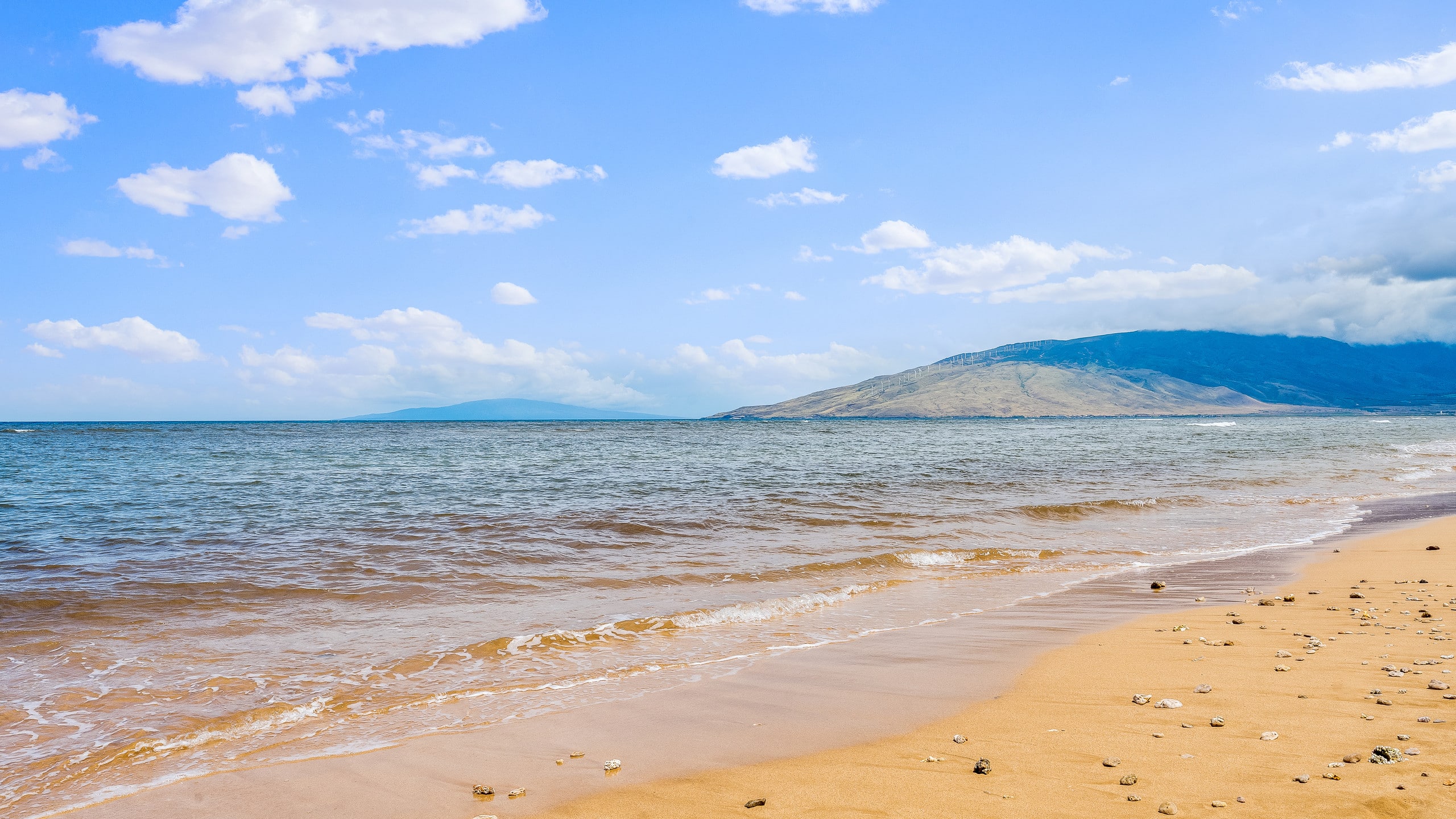 Condo in Kihei · ★4.78 · 2 bedrooms · 3 beds · 1 bath - Image 57