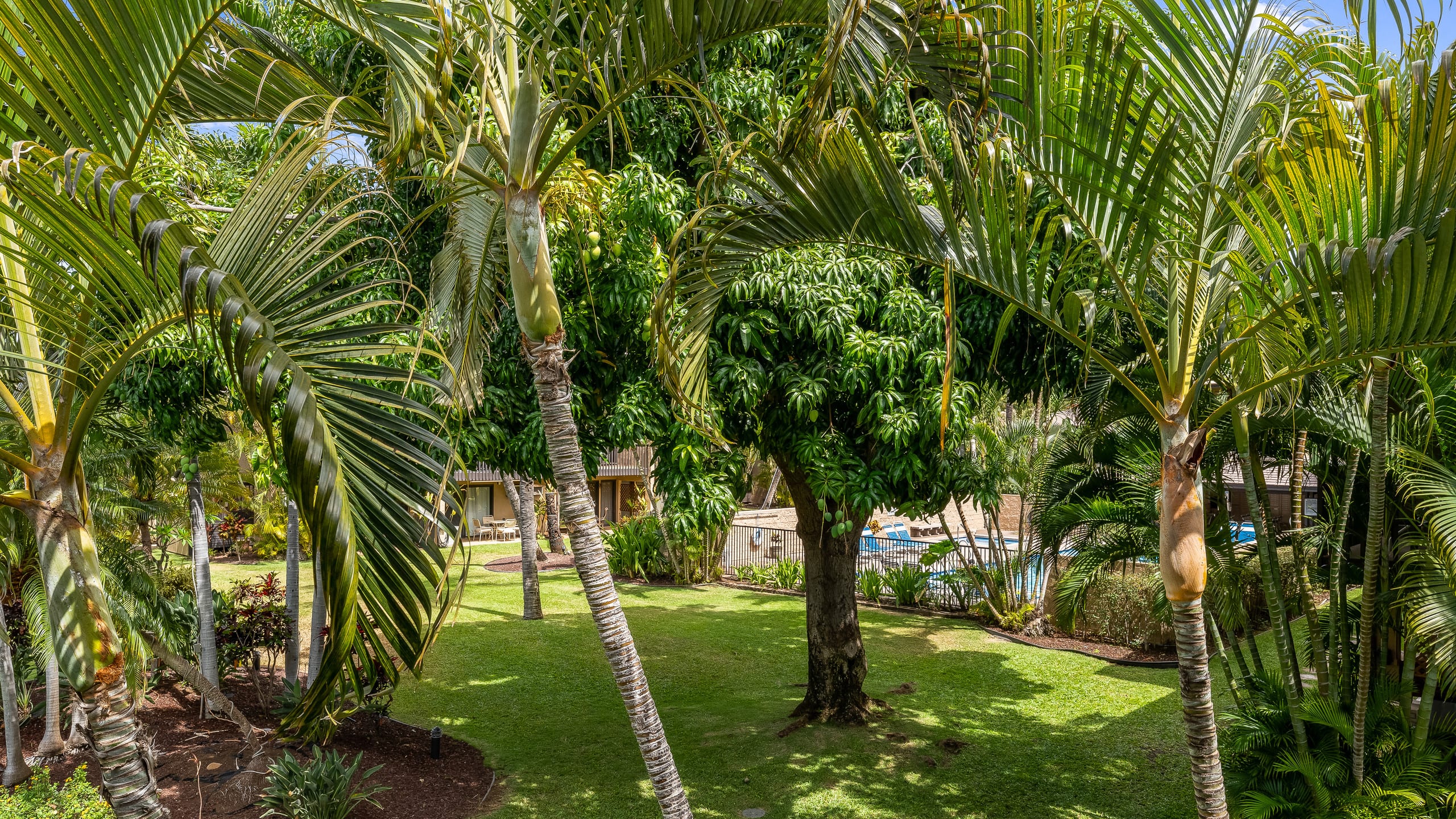 Condo in Kihei · ★4.78 · 2 bedrooms · 3 beds · 1 bath - Image 43
