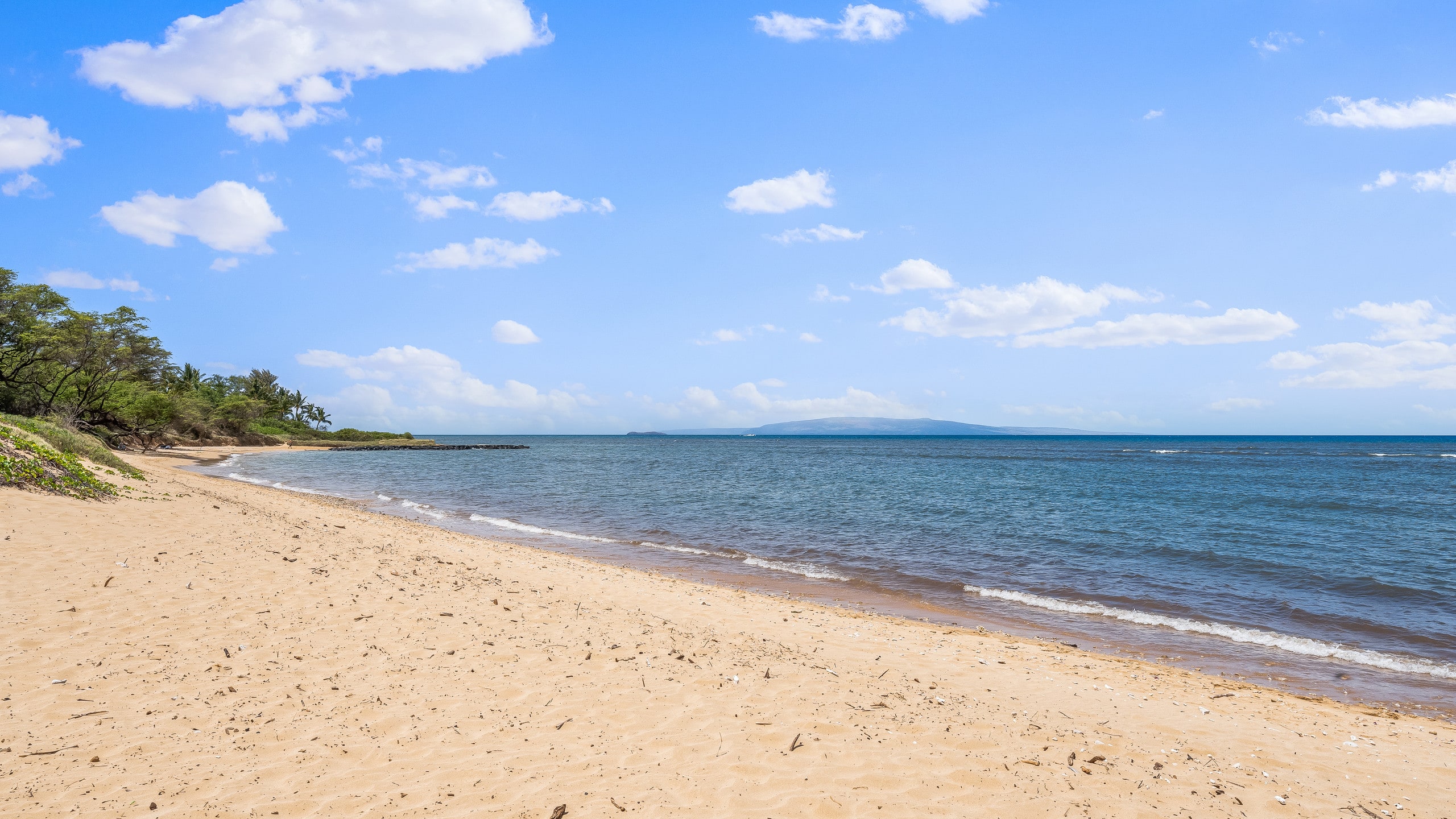 Condo in Kihei · ★4.78 · 2 bedrooms · 3 beds · 1 bath - Image 56
