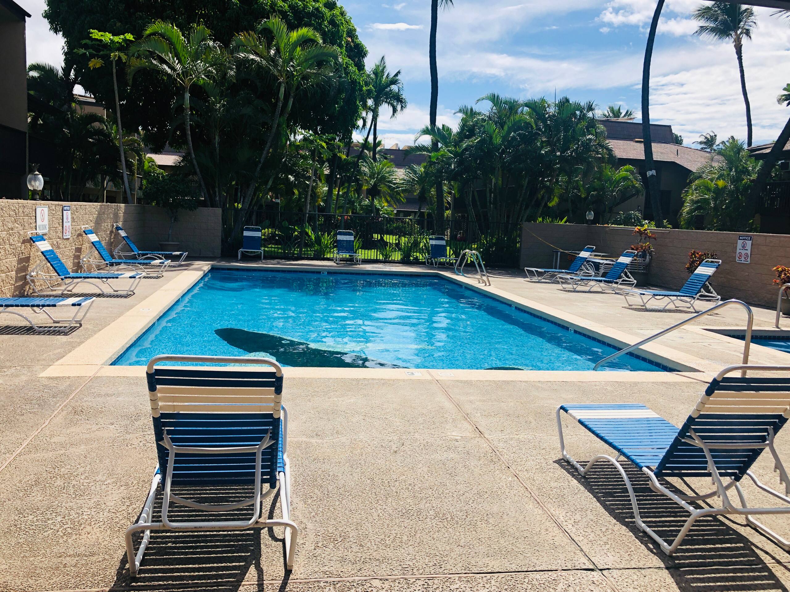 Condo in Kihei · ★4.78 · 2 bedrooms · 3 beds · 1 bath - Image 61